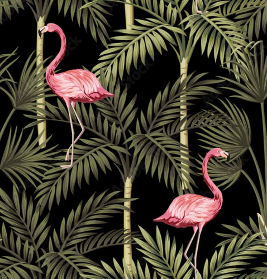 Pink Flamingos, vibrant pink, lush green palm fronds, SD Phone Wallpaper