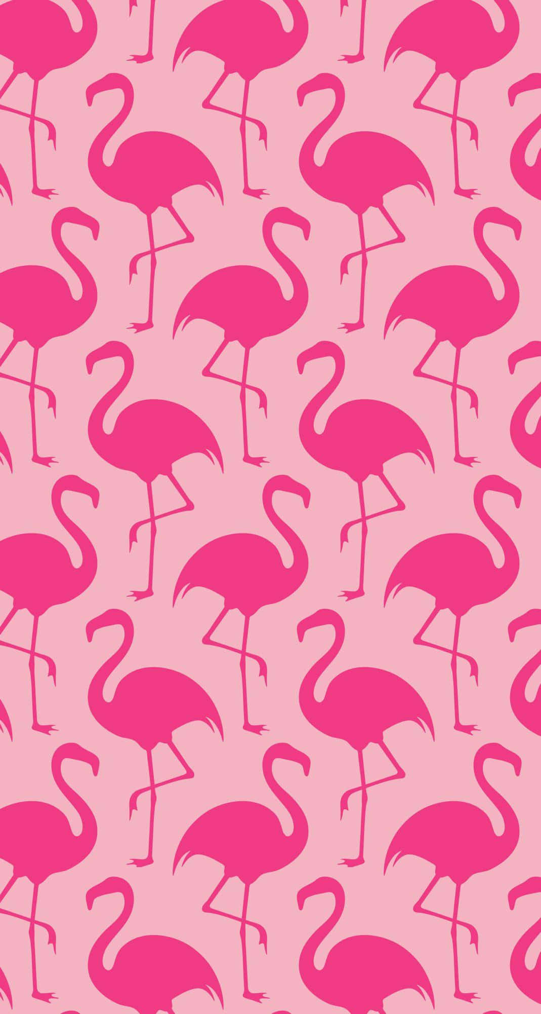 Pink Flamingos, pink flamingo silhouettes, soft pink background, Full HD Phone Wallpaper