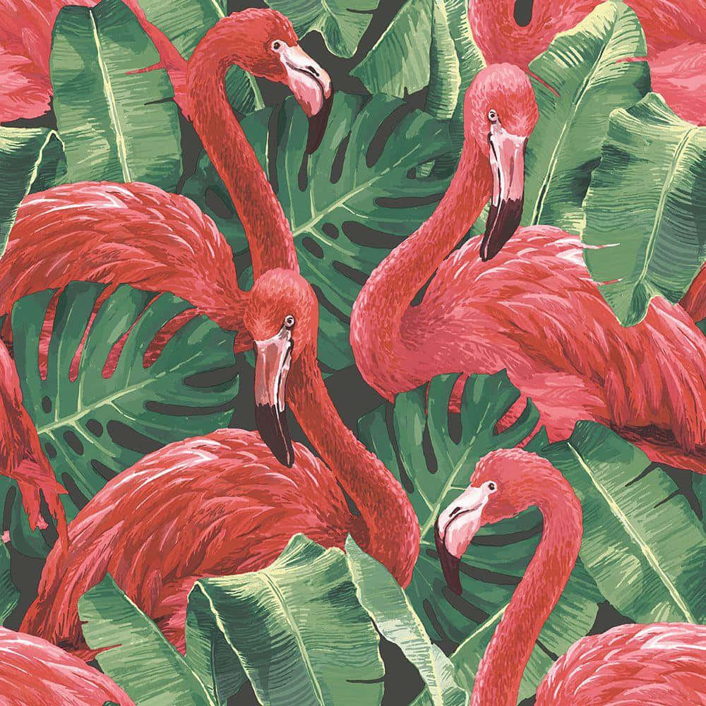 Pink Flamingos, vibrant pink flamingos, lush green tropical leaves, SD Desktop Wallpaper