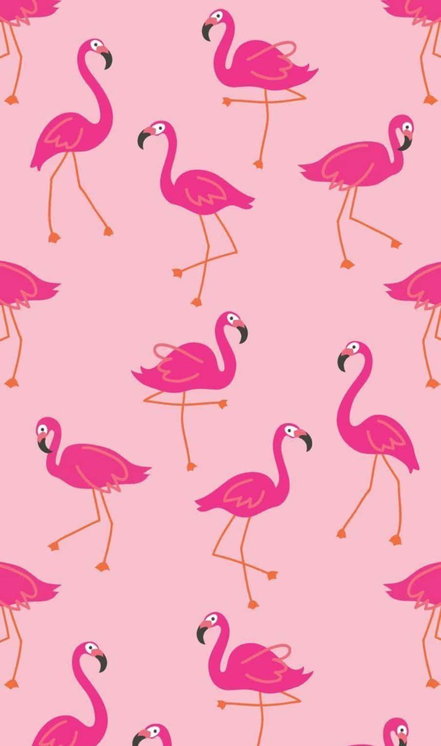 Pink Flamingos, vibrant pink flamingos, orange legs, HD Phone Wallpaper