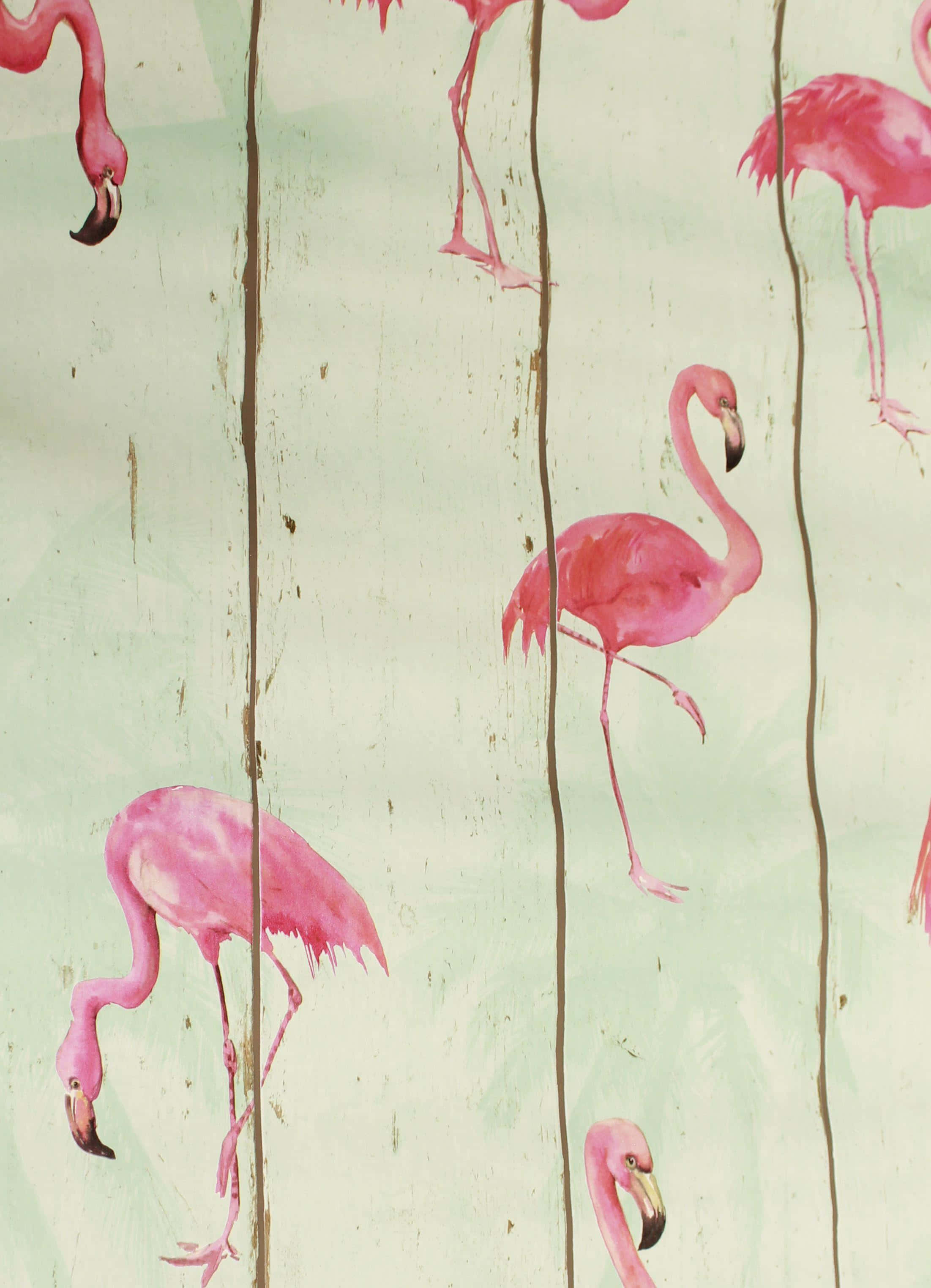pink flamingos, vibrant pink flamingos, weathered wooden planks, 2K Phone Wallpaper