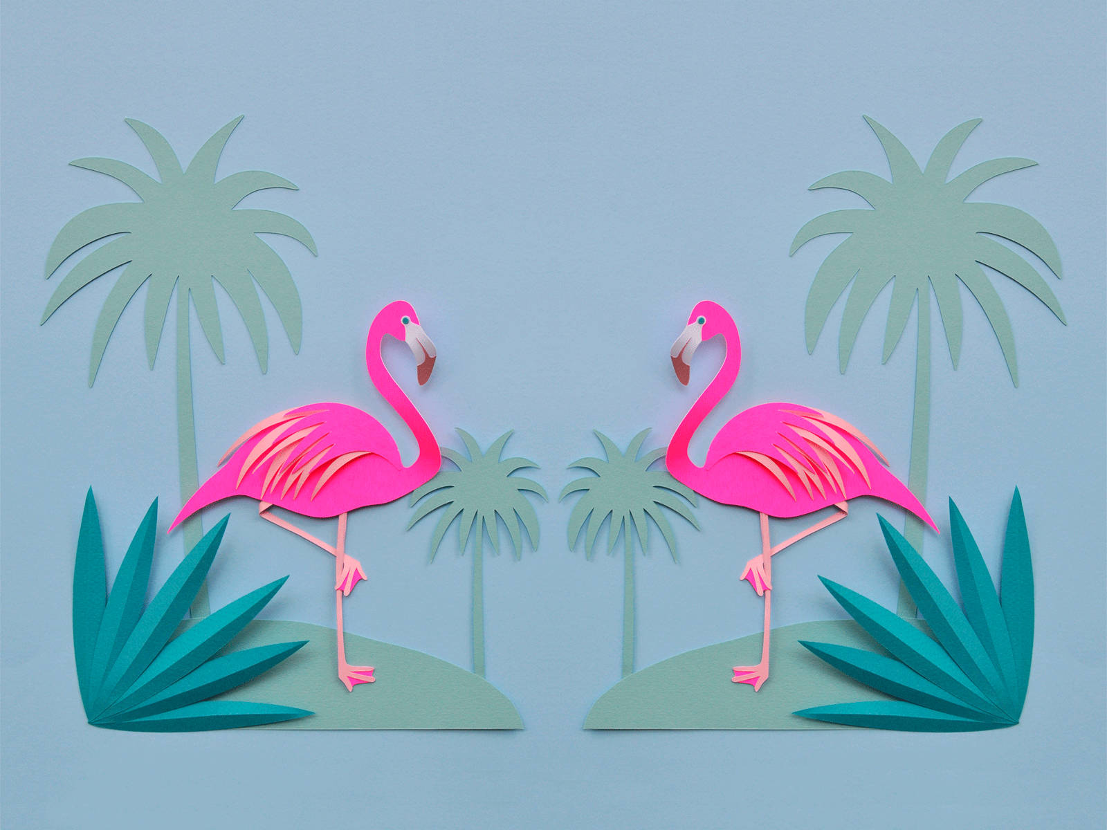 tropical flamingo, vibrant pink, teal succulents, HD Desktop Wallpaper