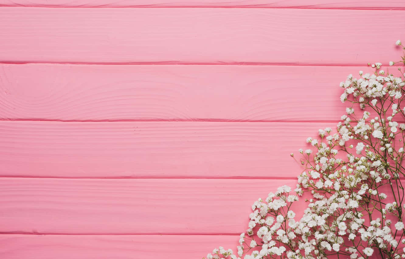 pink wooden wall, white lilies, white baby's breath flowers, HD Desktop Wallpaper