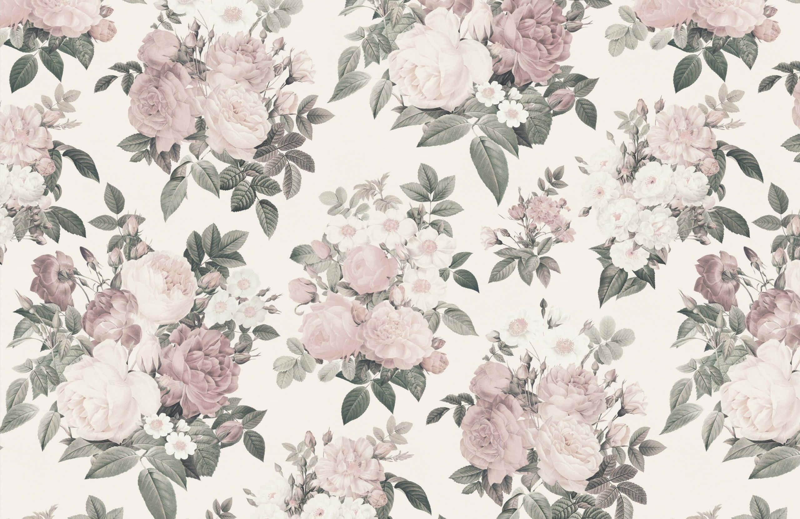 Pink Brown Floral Design, soft pink roses, green leaves, 2K Desktop Wallpaper