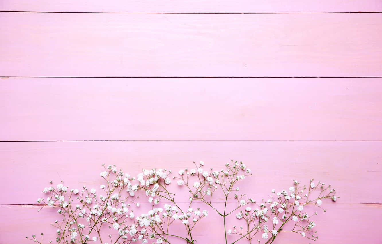 pink floral, white baby's breath flowers, soft pink wooden surface, HD Desktop Wallpaper
