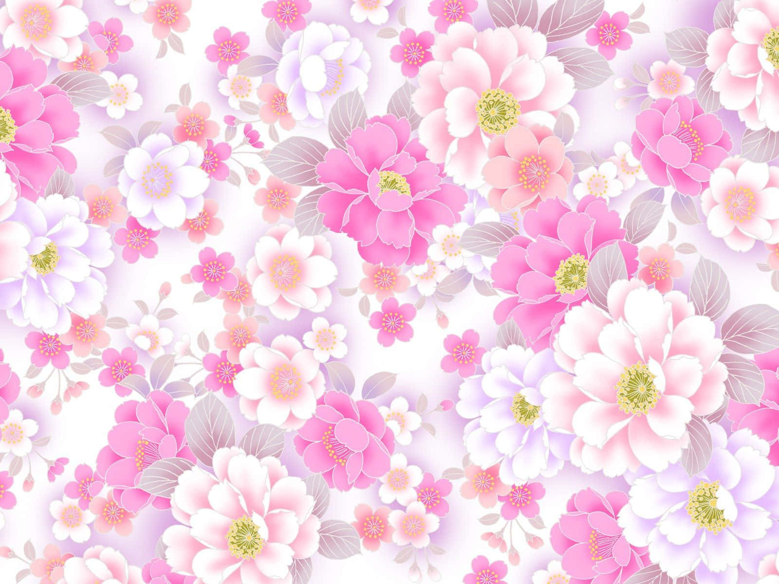 pink floral, pink peonies, white peonies, HD Desktop Wallpaper