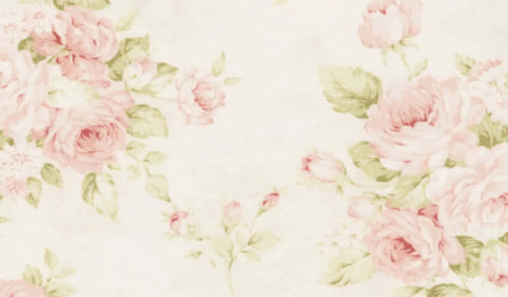 pink roses, green leaves, creamy off-white, SD Desktop Wallpaper
