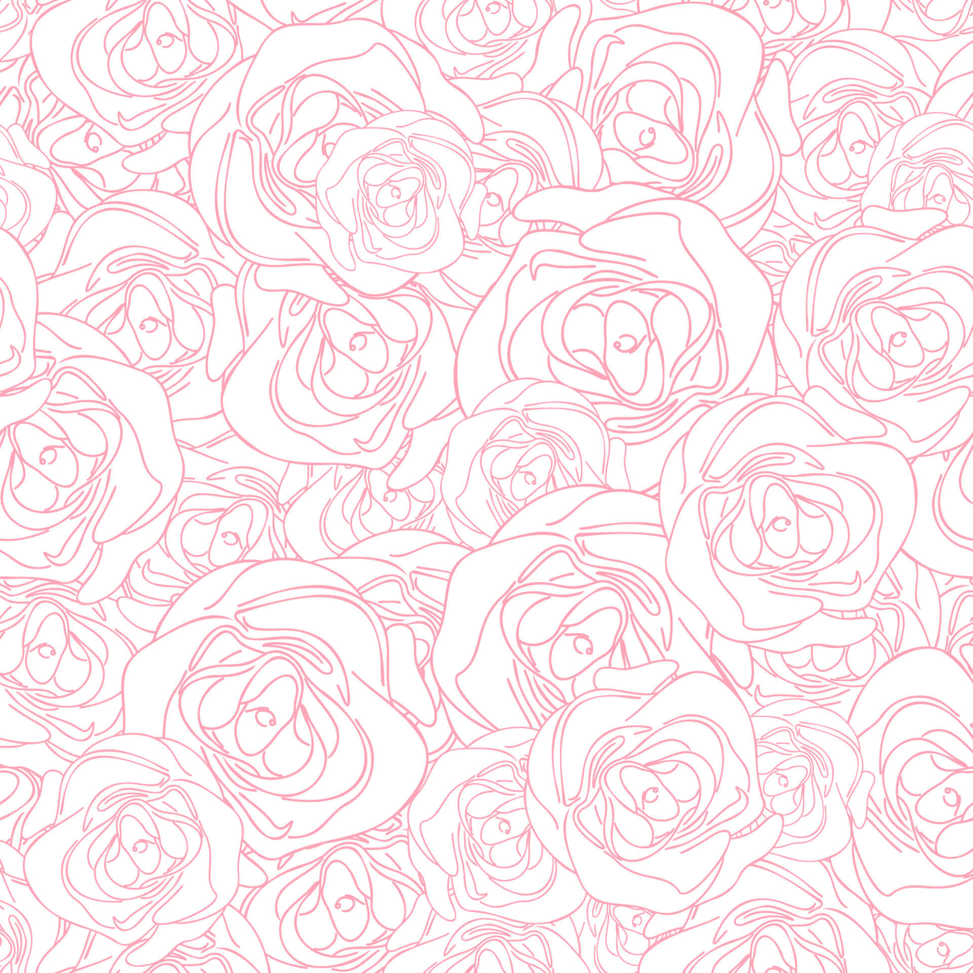 pink floral, delicate pink outlined roses, white background, Full HD Desktop Wallpaper