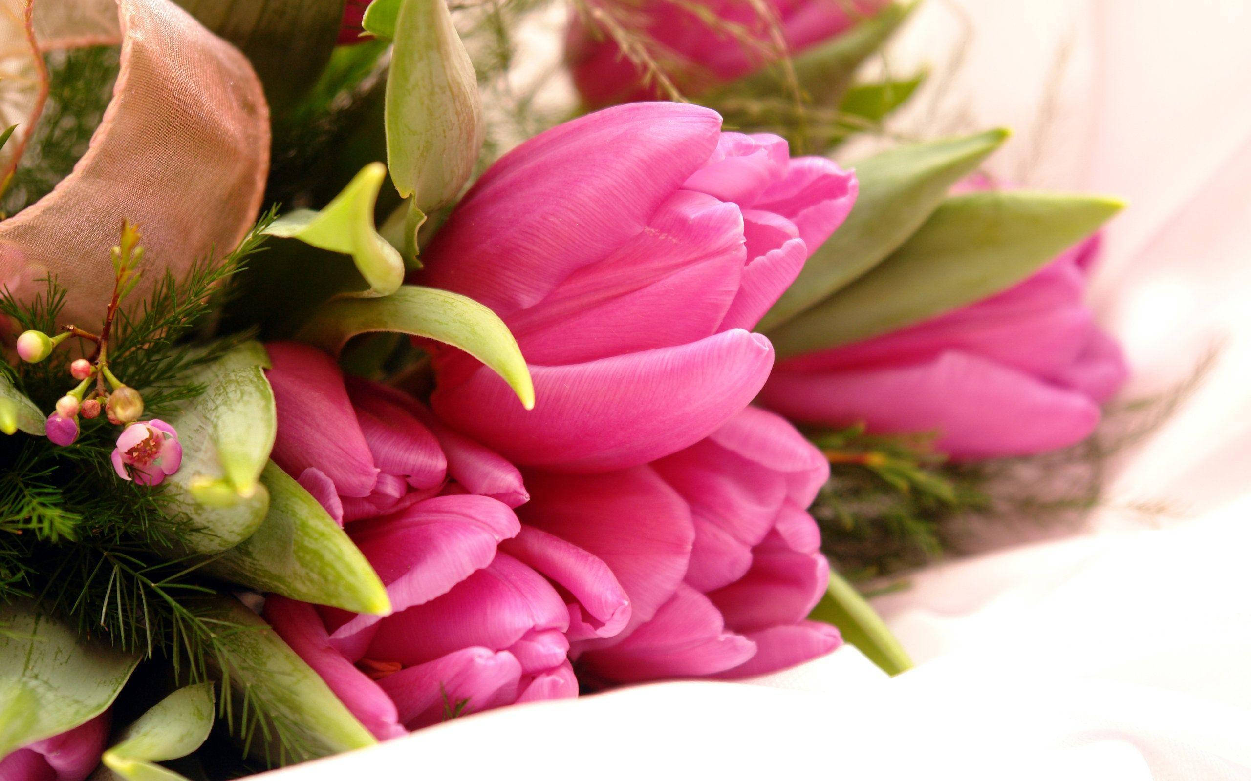 pink flower arrangement, vibrant pink tulips, greenery, 2K Desktop Wallpaper