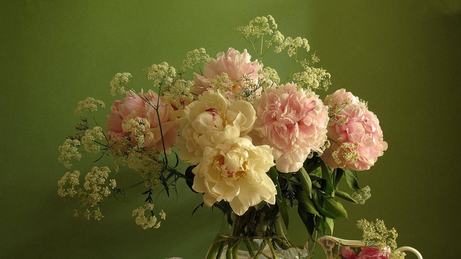 pink peonies, cream peonies, baby's breath blooms, HD Desktop Wallpaper