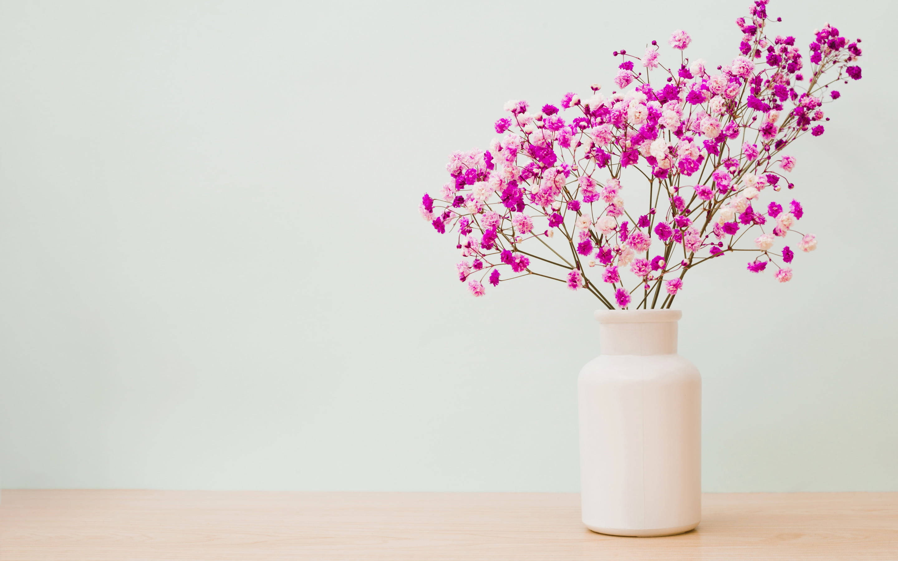 creamy vase, vibrant pink and magenta baby's breath flowers, light wood surface, 2K Desktop Wallpaper