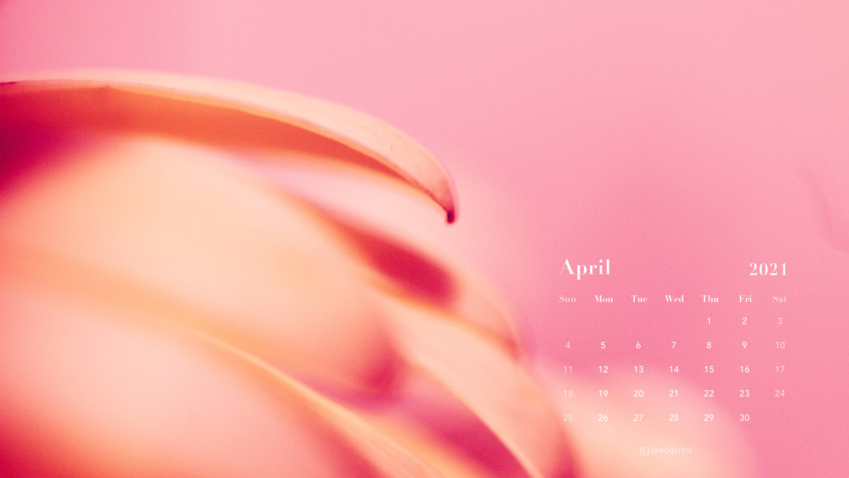 April 2021 calendar, soft pink, blurred floral petals, 2K Desktop Wallpaper