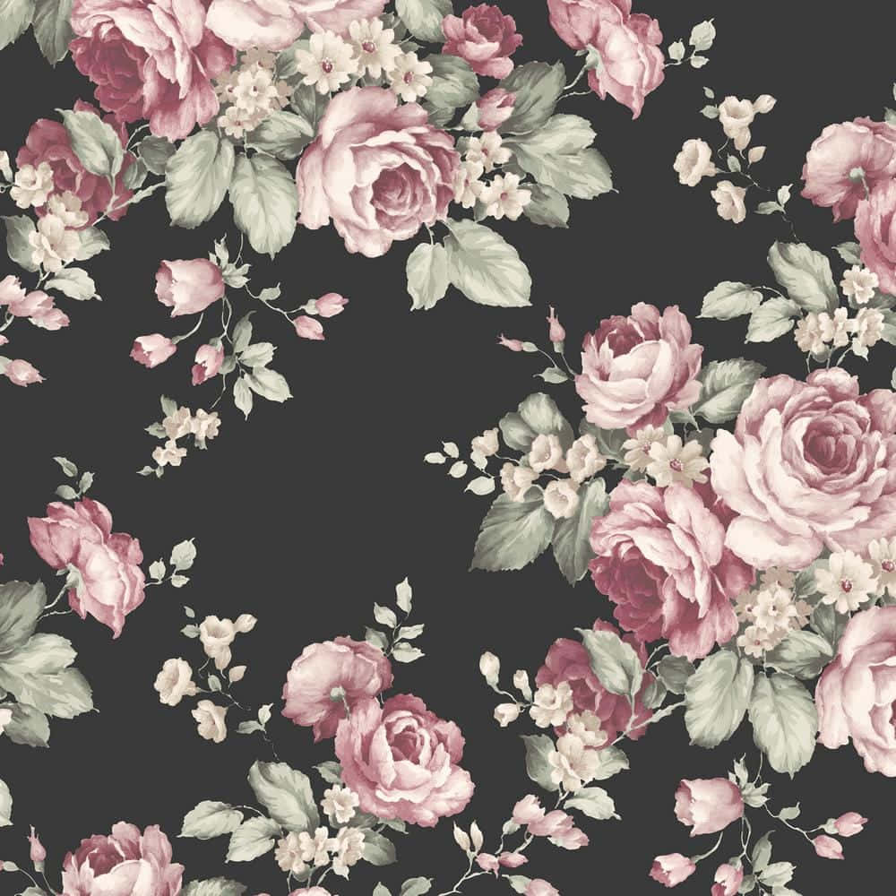 black and pink flower, vintage style, pink roses, SD Desktop Wallpaper