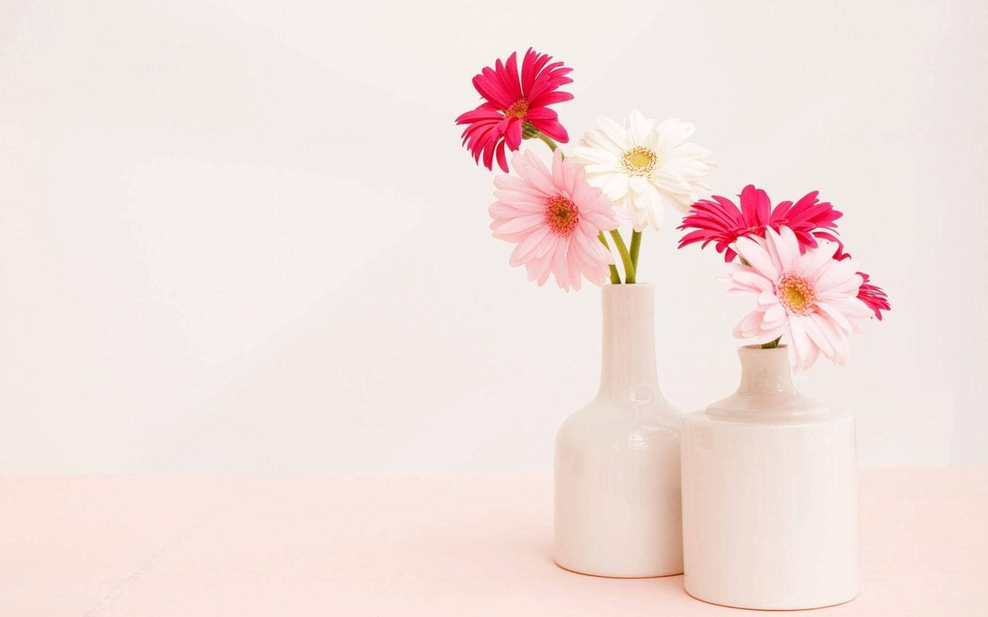 ceramic flower vase, gerbera daisies, pink, Full HD Desktop Wallpaper