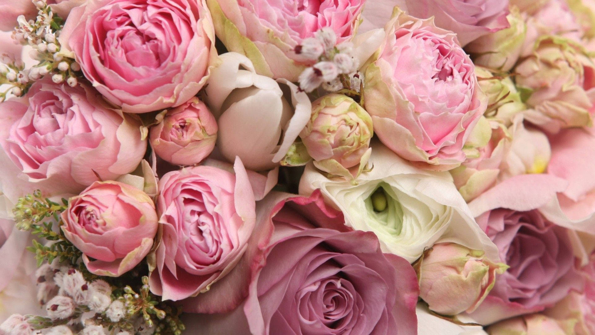 pink peony flower arrangement, pink, mauve, Full HD Desktop Wallpaper