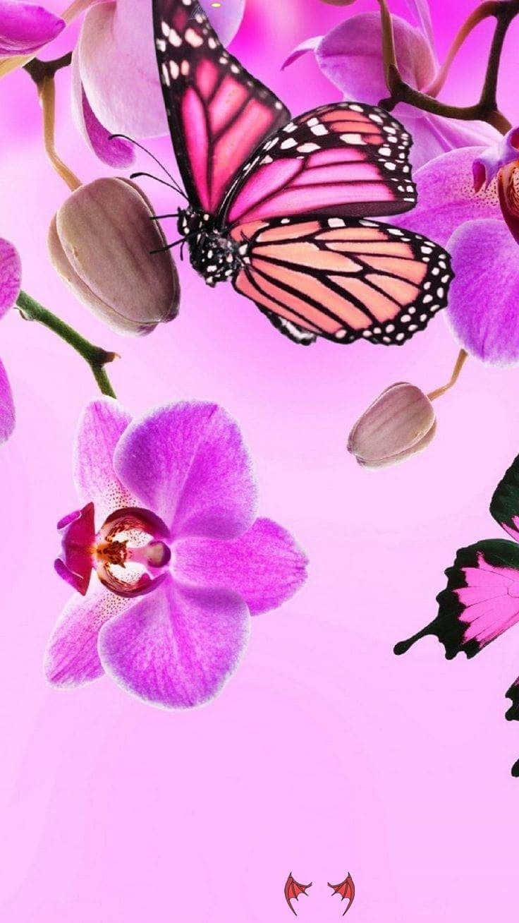 pink glitter butterfly, monarch butterfly, pink and orange wings, HD Phone Wallpaper