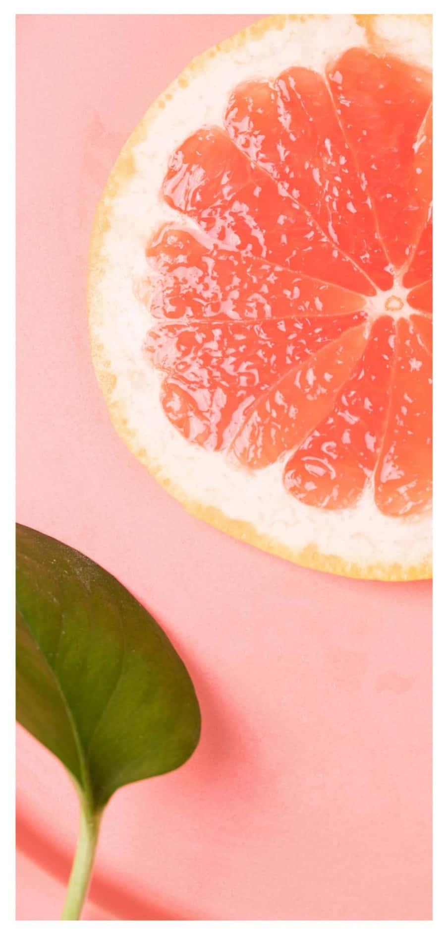 Pink Grapefruit, grapefruit, juicy segments, HD Phone Wallpaper
