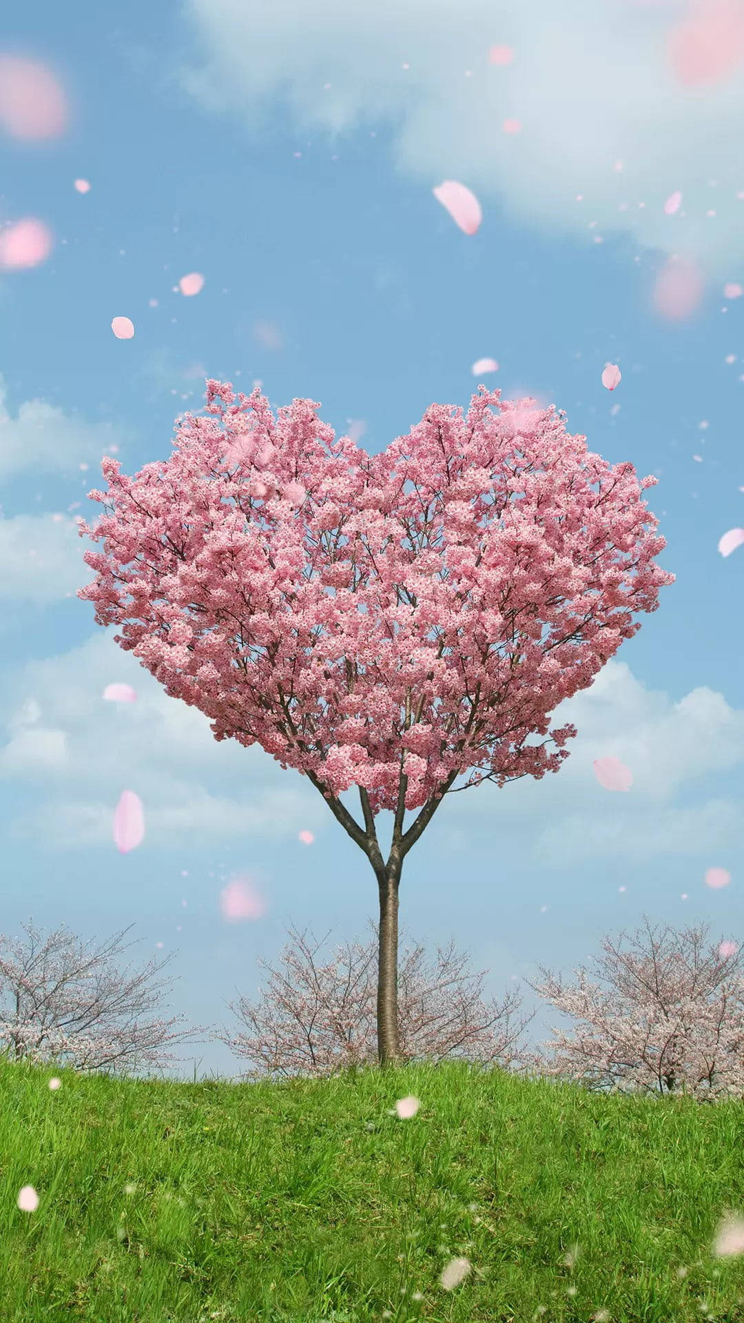 Pink Heart Tree, heart-shaped cherry blossom tree, pink, Full HD Phone Wallpaper