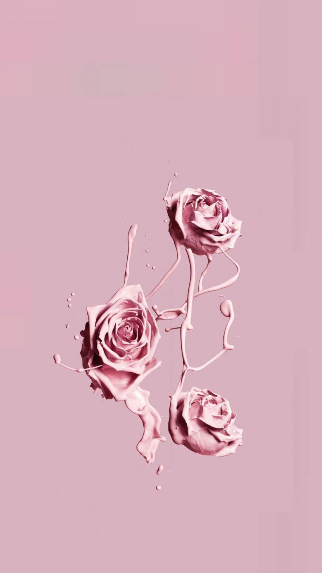 Pink iPhone Xr, roses, pastel pink, Full HD Phone Wallpaper