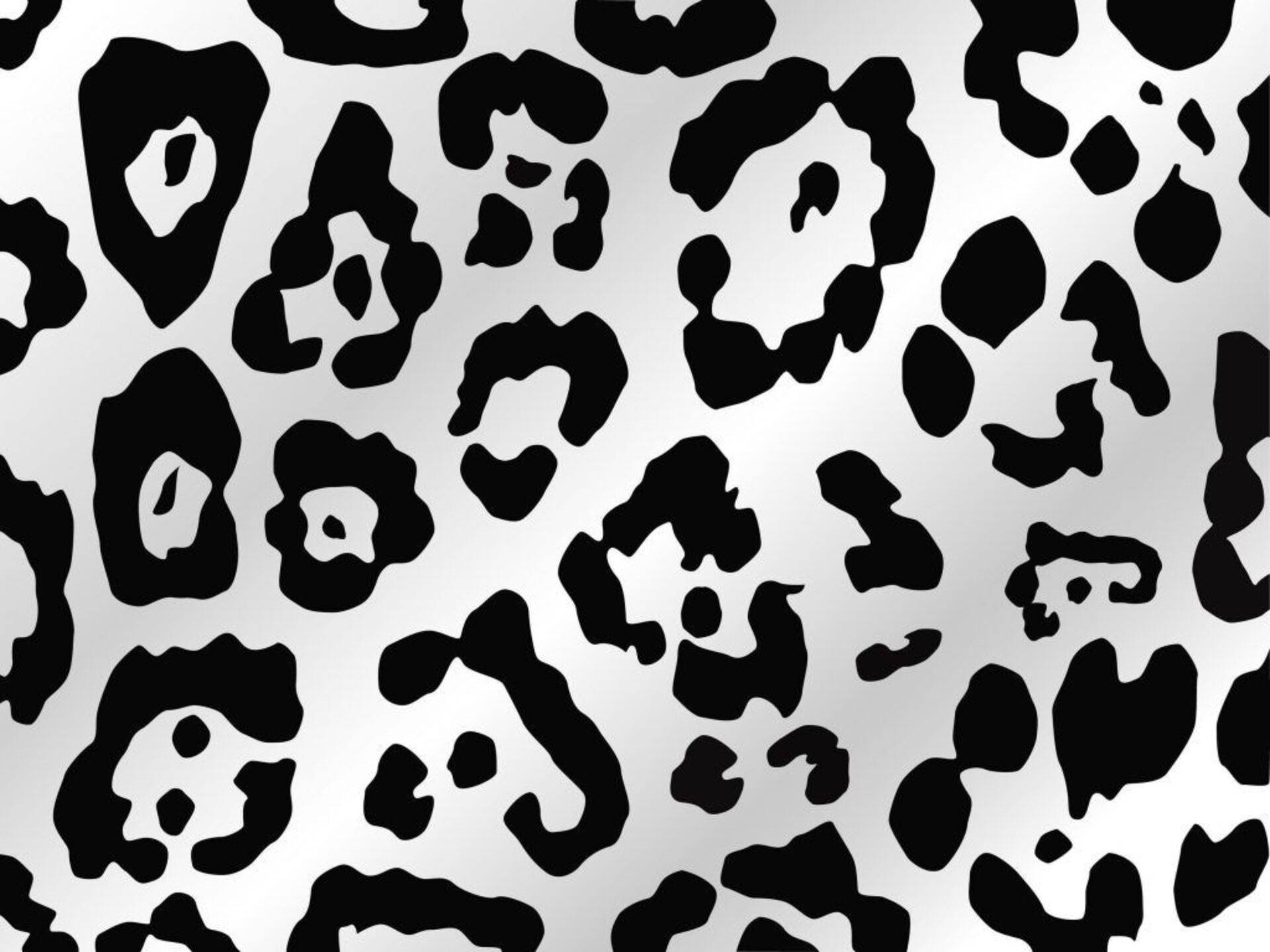 black gray leopard print, silver gradient background, black leopard spots, Full HD Desktop Wallpaper