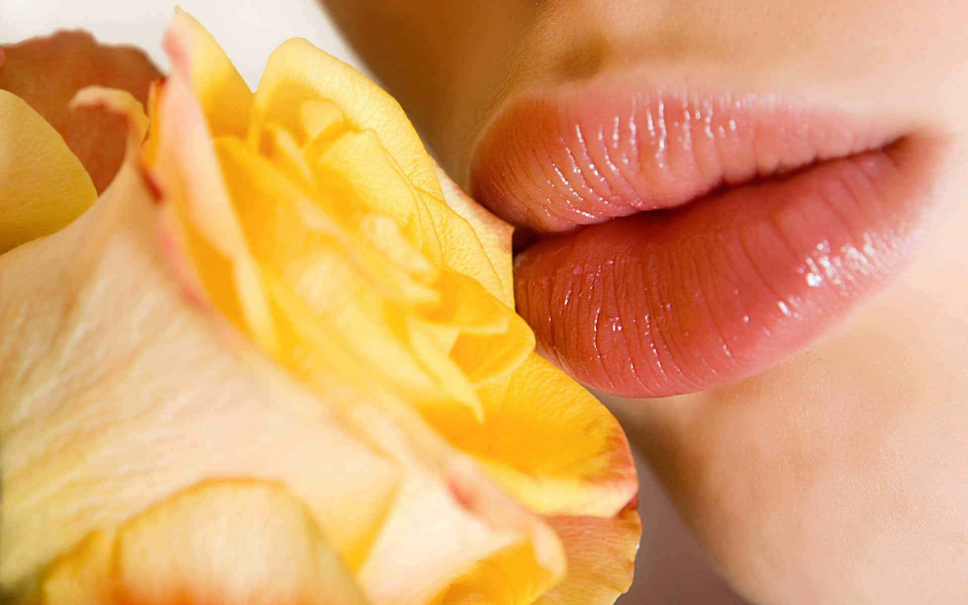 Pink Lips, glossy lips, yellow rose, Full HD Desktop Wallpaper