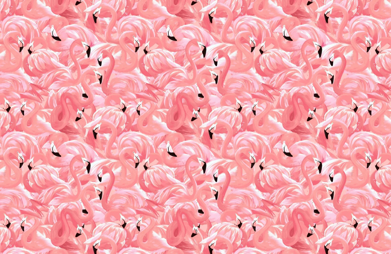 pink flamingo birds, stylized pink flamingos, black beaks, HD Desktop Wallpaper