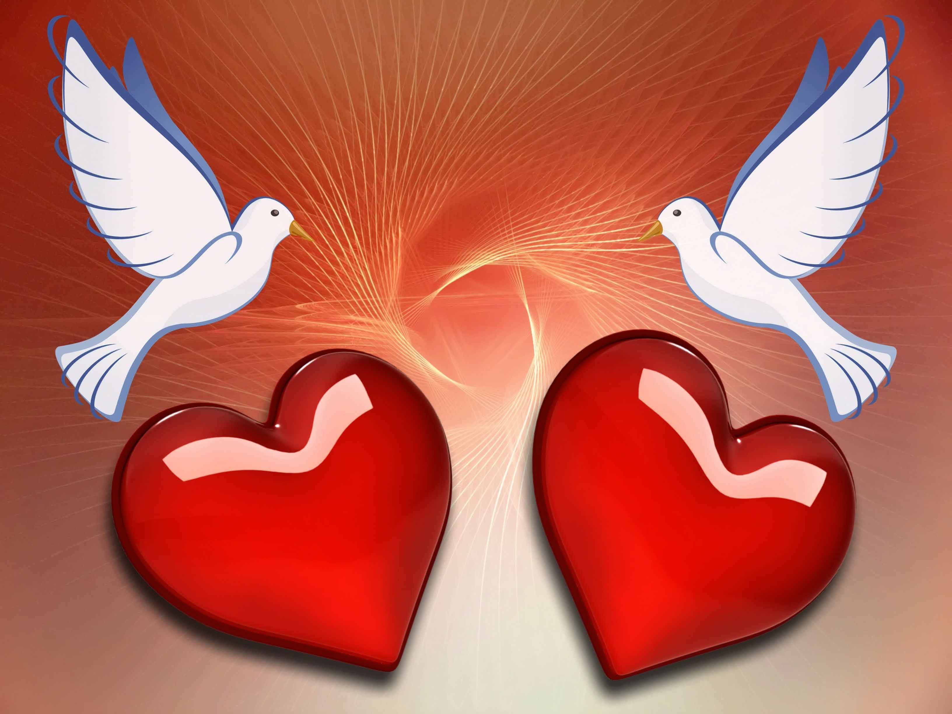 Love Birds 2D Art, glossy red hearts, white doves, 2K Desktop Wallpaper
