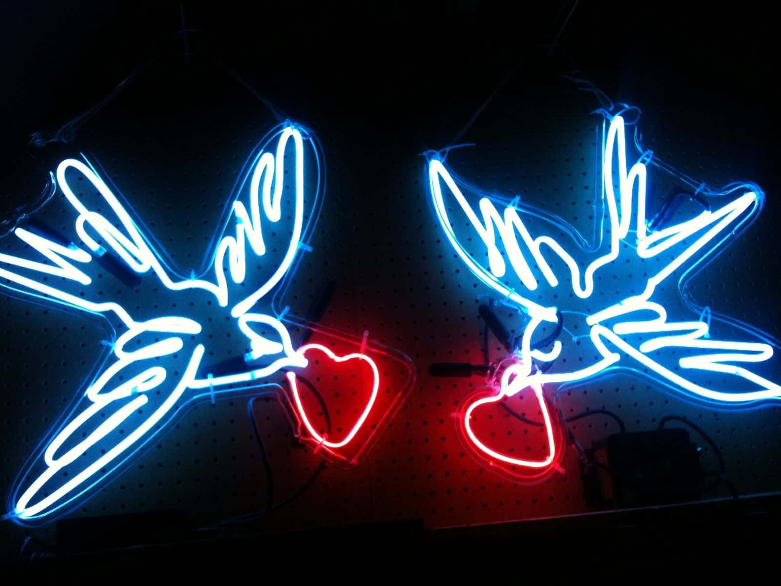 Neon Love Birds Art, glowing blue neon birds, red neon hearts, HD Desktop Wallpaper