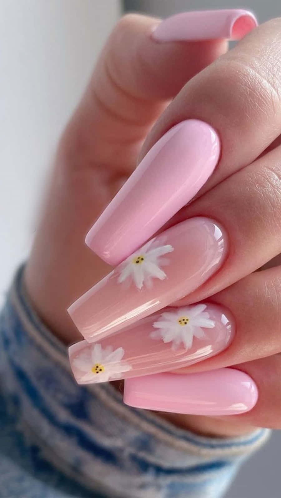pink nails, white daisy decals, soft blurred background, HD Phone Wallpaper