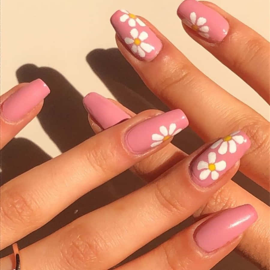 soft pink nails, delicate white daisy flowers, warm sunlight, SD Desktop Wallpaper