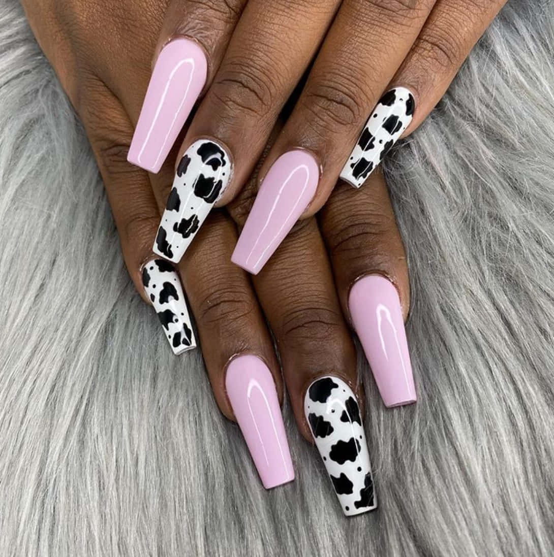 glossy pink, black white cow print, long coffin nails, SD Phone Wallpaper