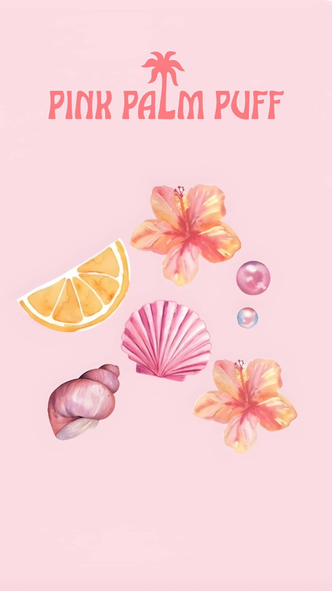 Pink Palm Puff, hibiscus flowers, seashells, Full HD Phone Wallpaper