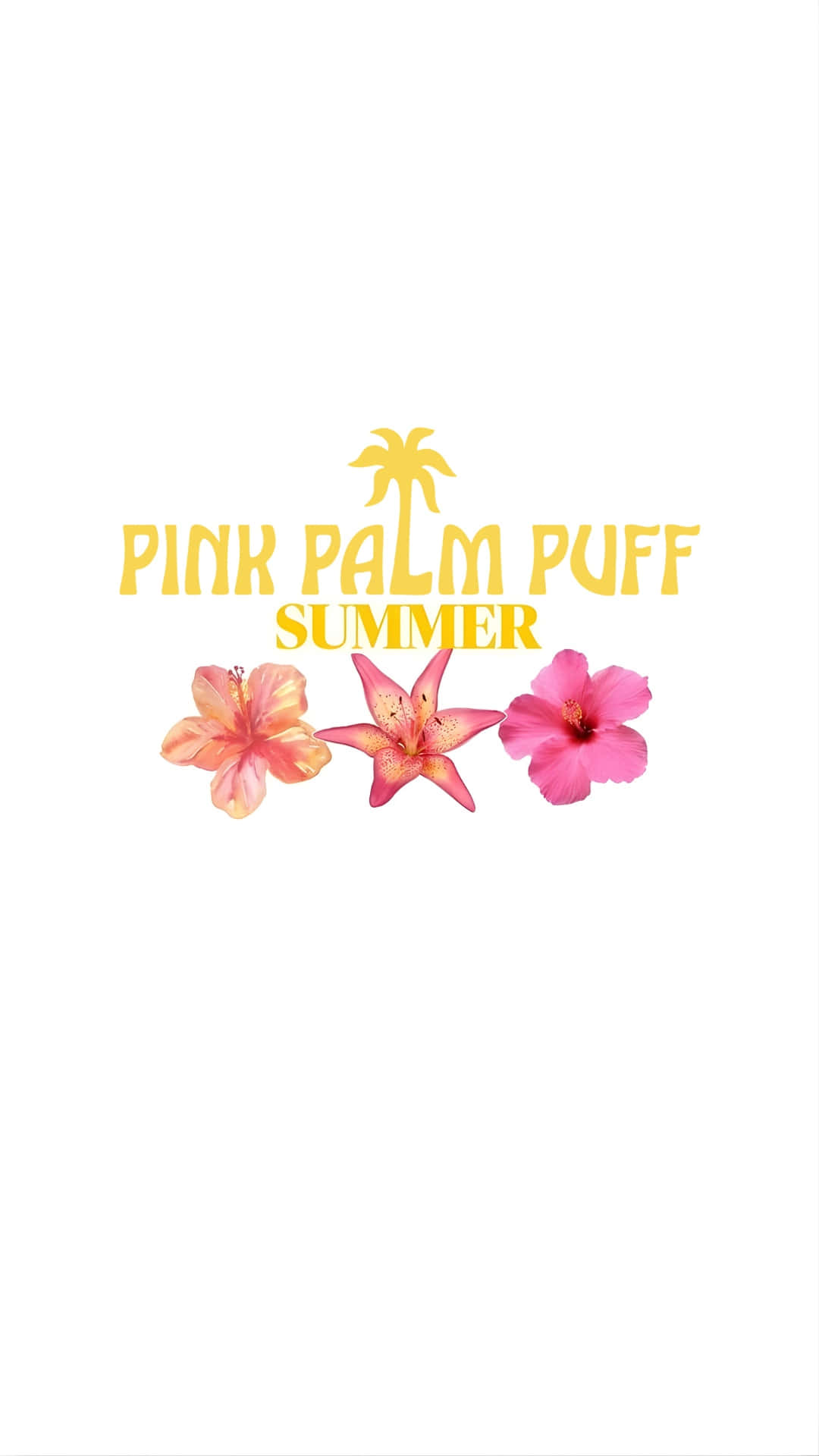 Pink Palm Puff, summer, pink tropical flowers, Full HD Phone Wallpaper