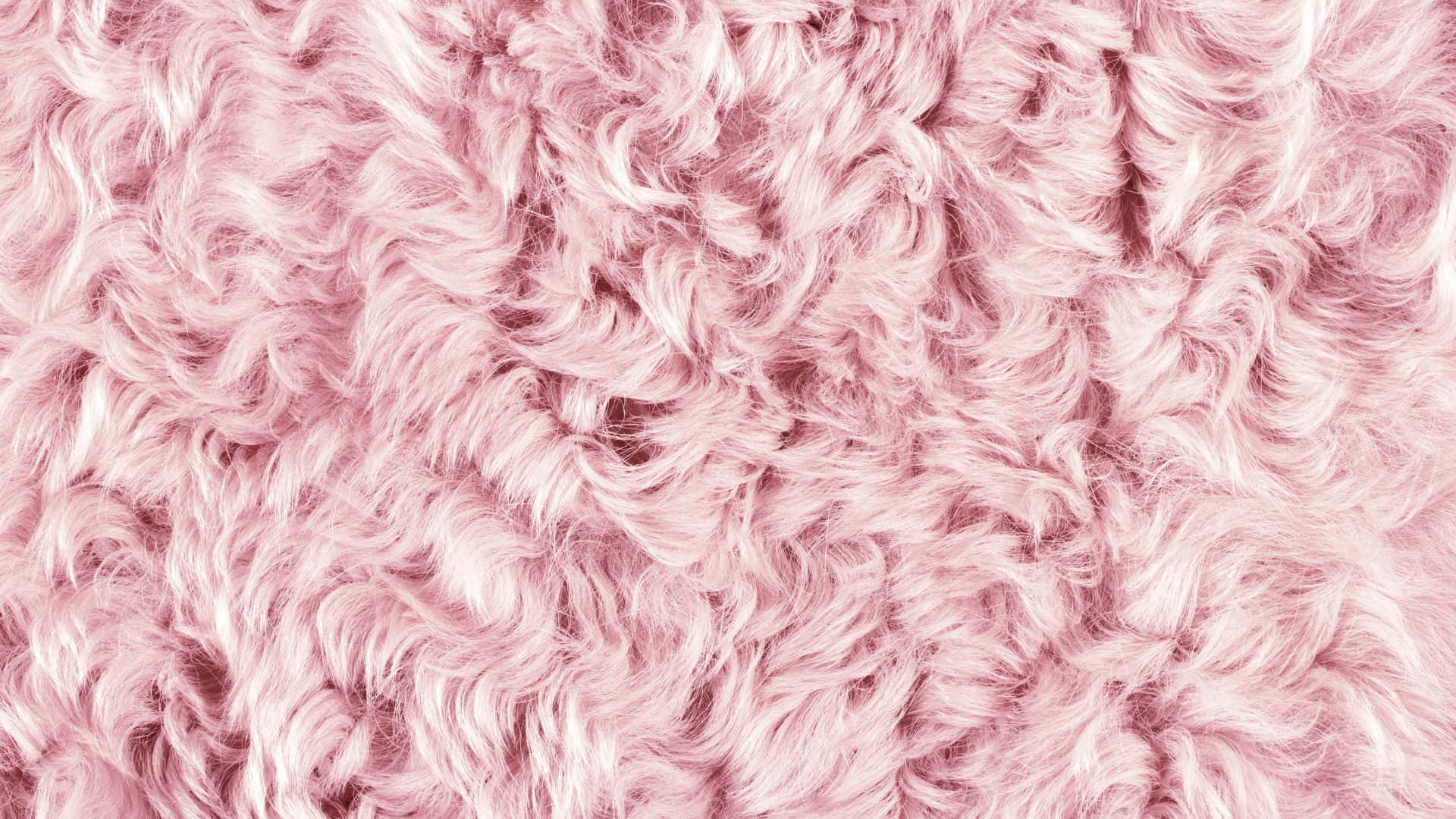 Pink Pattern, 1920 x 1080, soft fluffy pink fur, Full HD Desktop Wallpaper