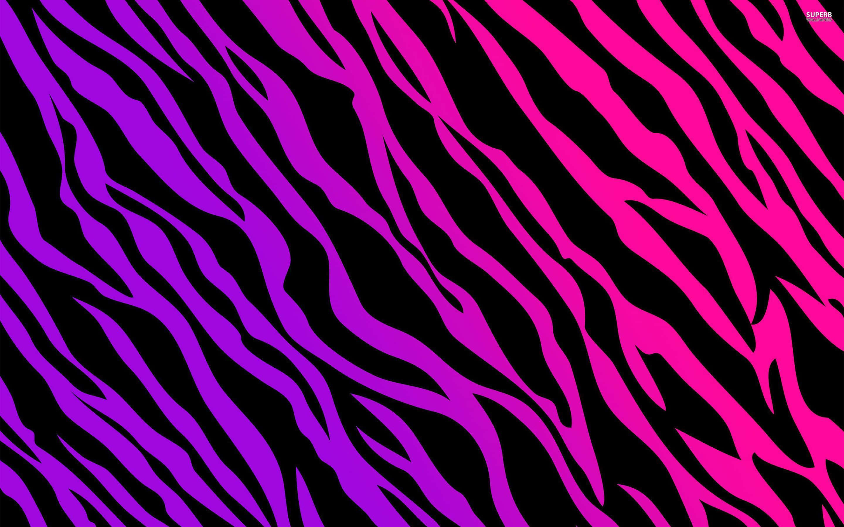pink zebra, purple and pink zebra print, vibrant pink, 2K Desktop Wallpaper