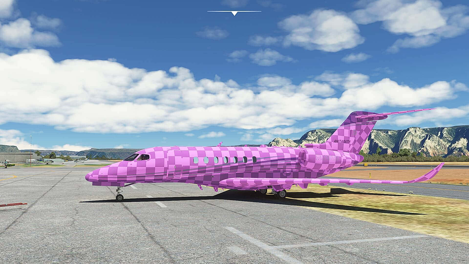 Pink Plane, vibrant pink checkered private jet, tarmac, Full HD Desktop Wallpaper