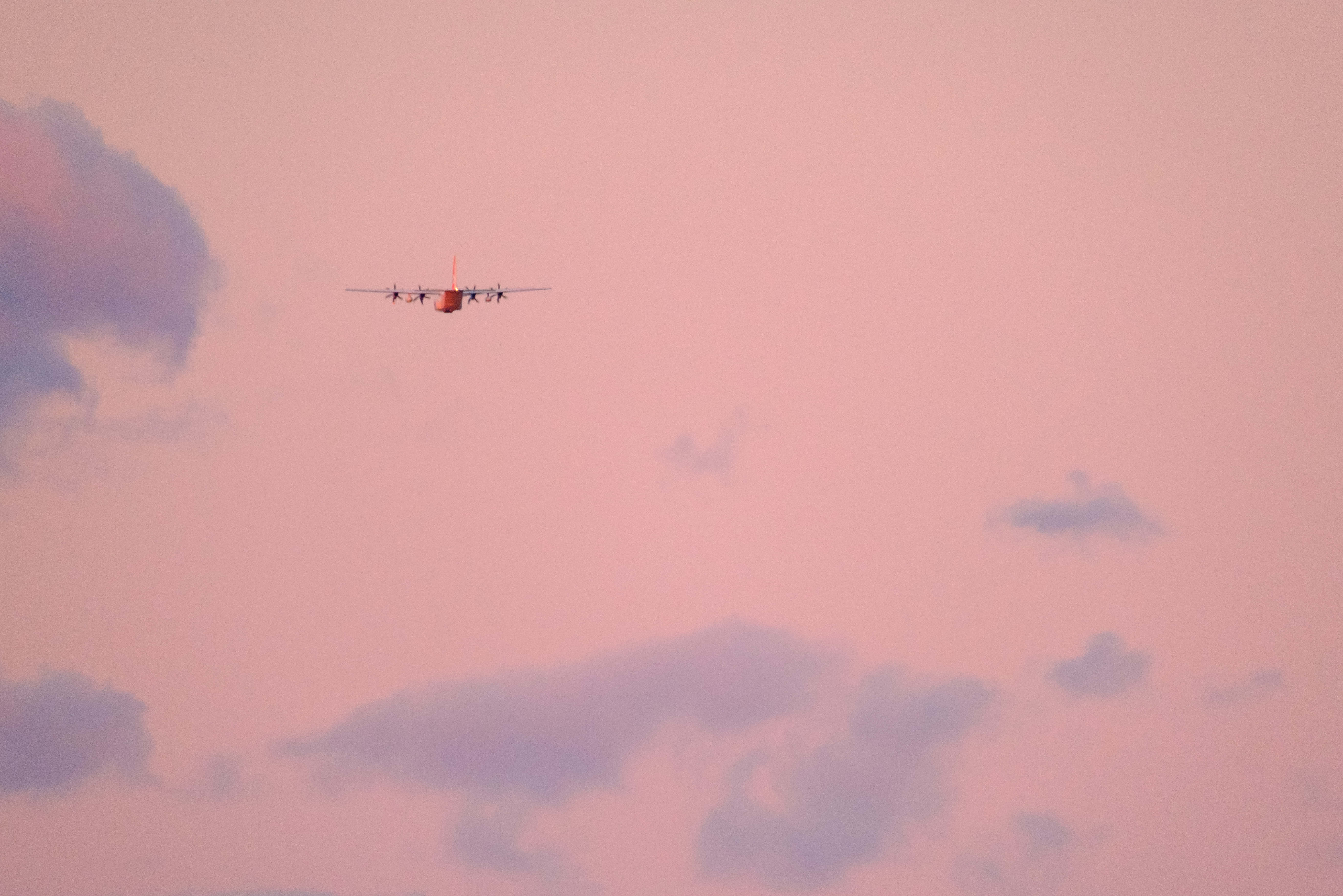 Pink Plane, sunset, twilight sky, 5K Desktop Wallpaper