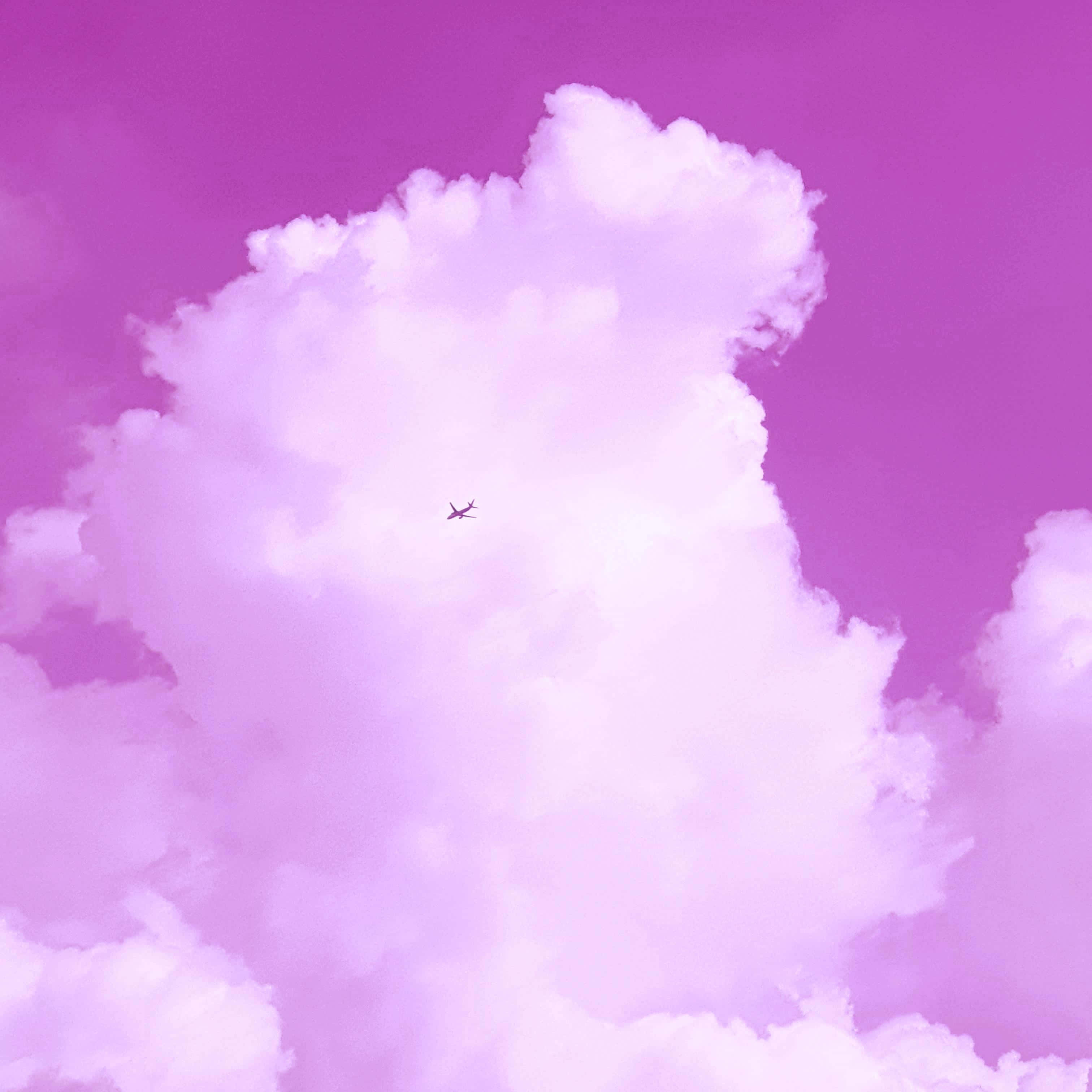 Pink Sky, tiny plane, lavender clouds, 2K Desktop Wallpaper