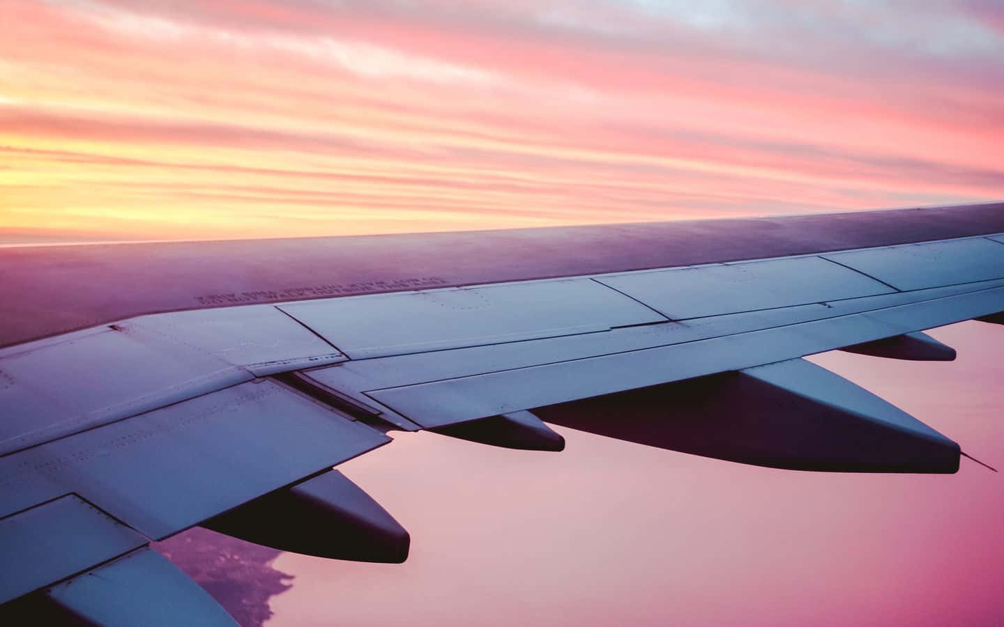 pink plane, vibrant pink and orange sunset, calm ocean horizon, HD Desktop Wallpaper