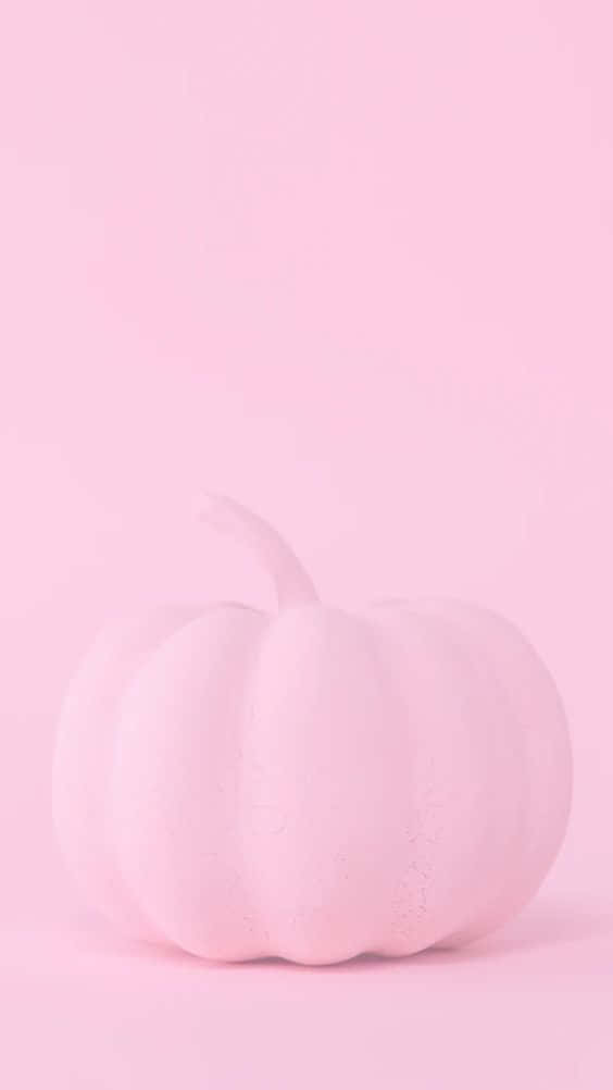 pink pumpkin, pastel pink background, soft pink pumpkin, SD Phone Wallpaper