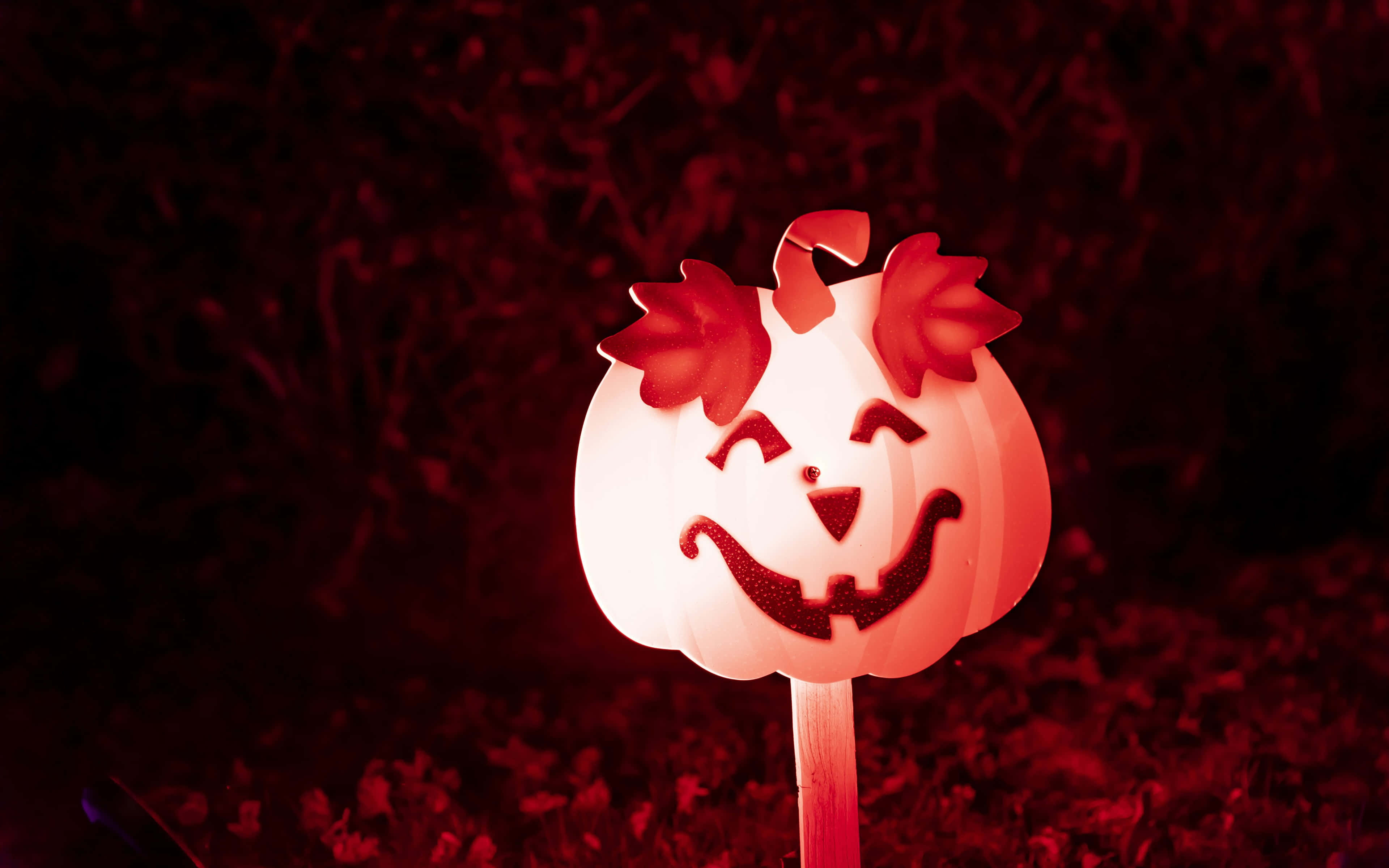 pink pumpkin, glowing jack-o'-lantern, cheerful face, 4K Desktop Wallpaper