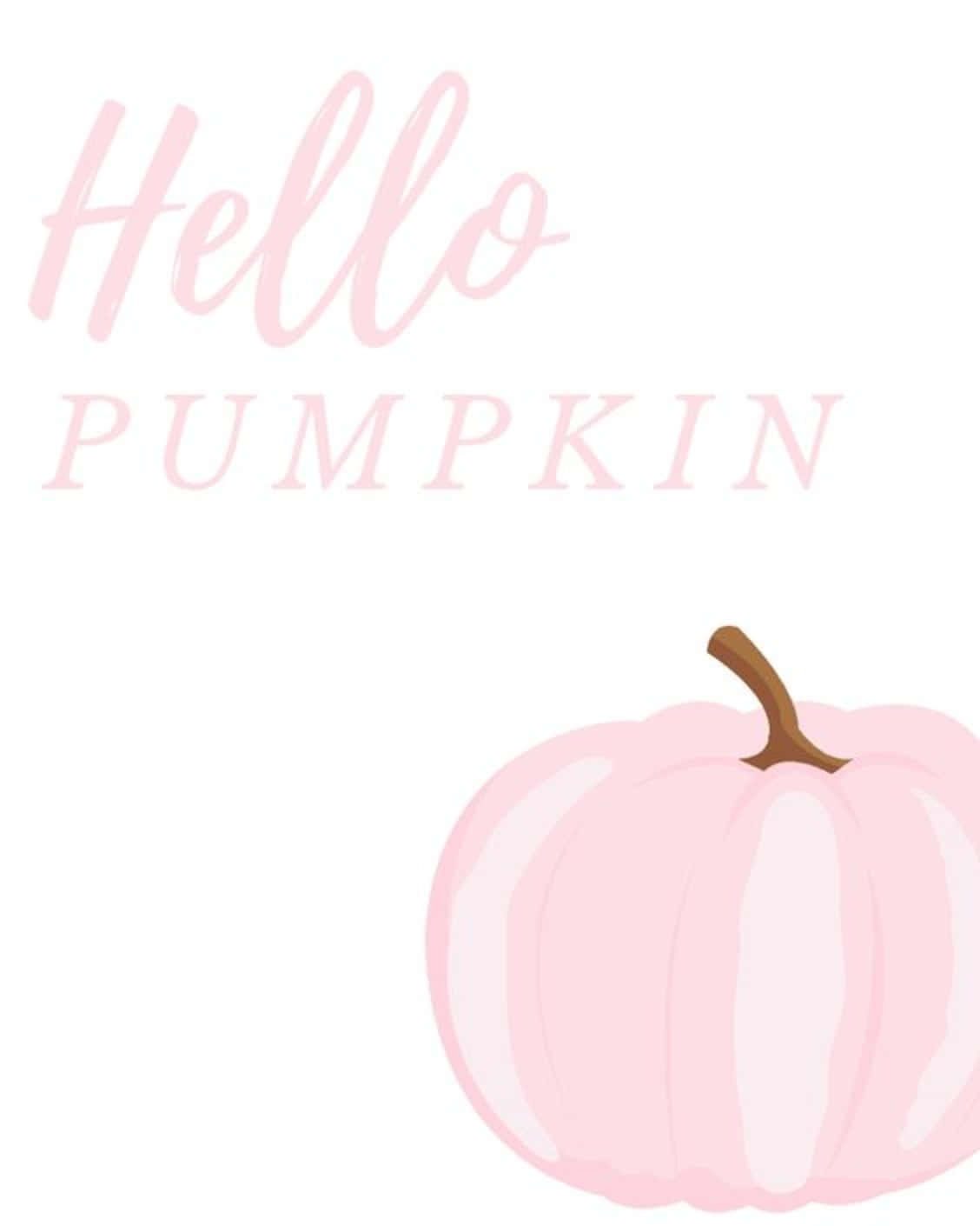 pink pumpkin, brown stem, cursive text 'Hello PUMPKIN', HD Phone Wallpaper