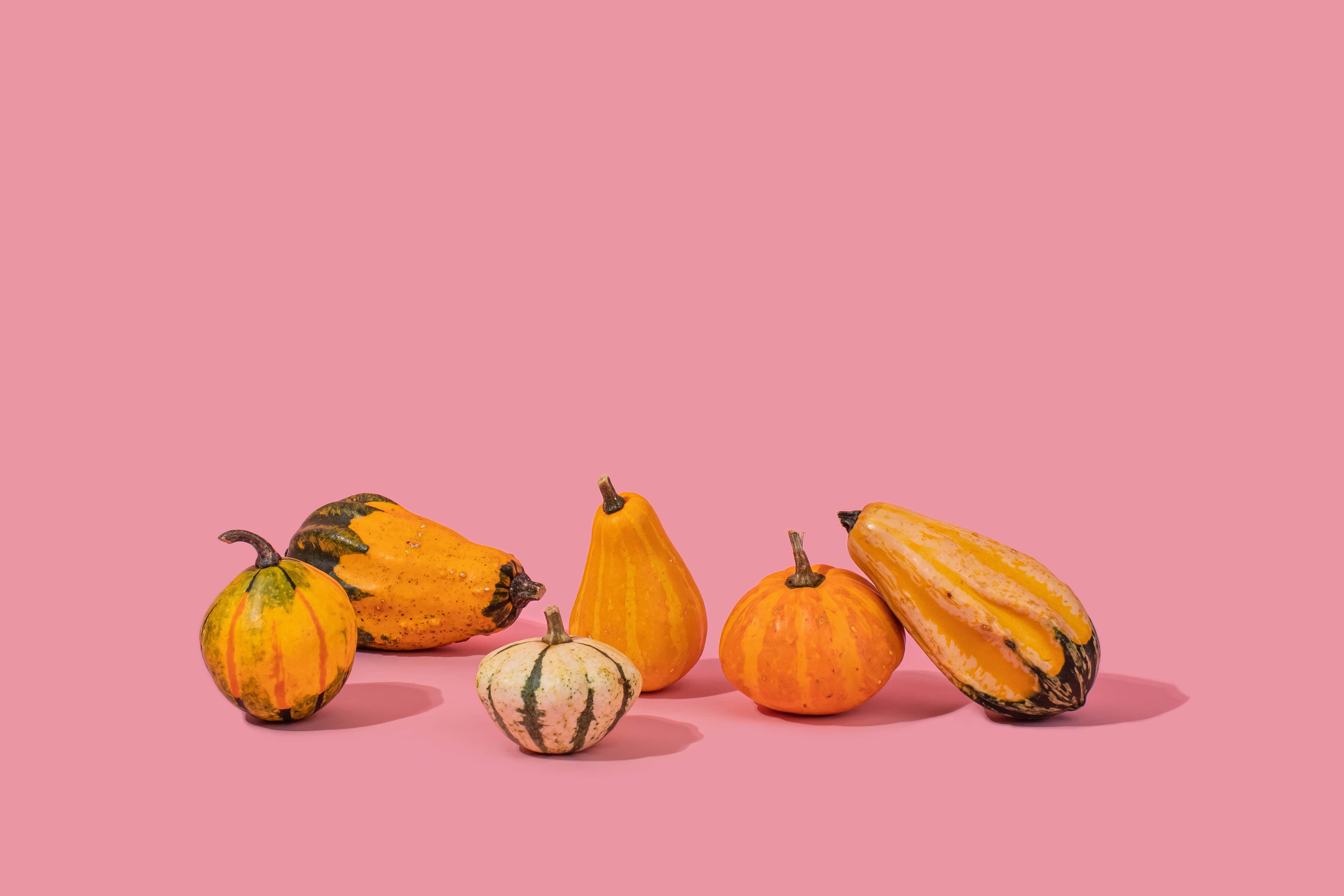 Pink Pumpkin, five colorful gourds, squash, 5K Desktop Wallpaper