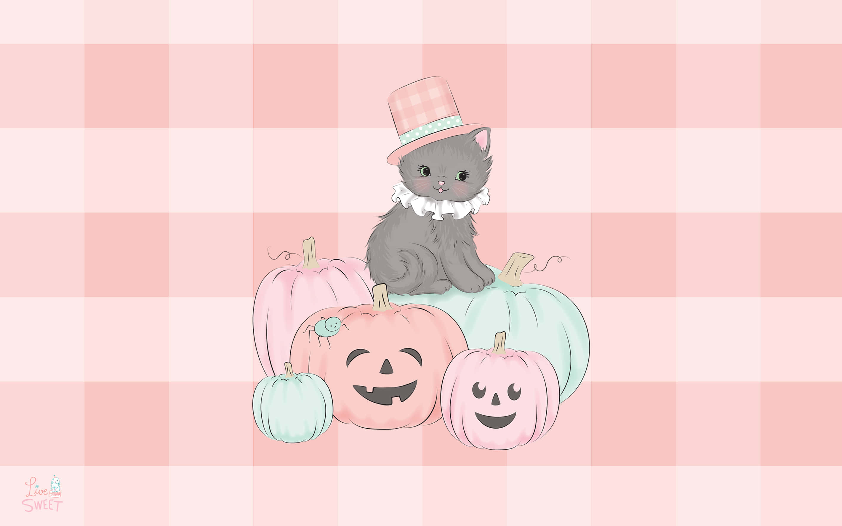 pink pumpkin, gray cat, top hat, 2K Desktop Wallpaper
