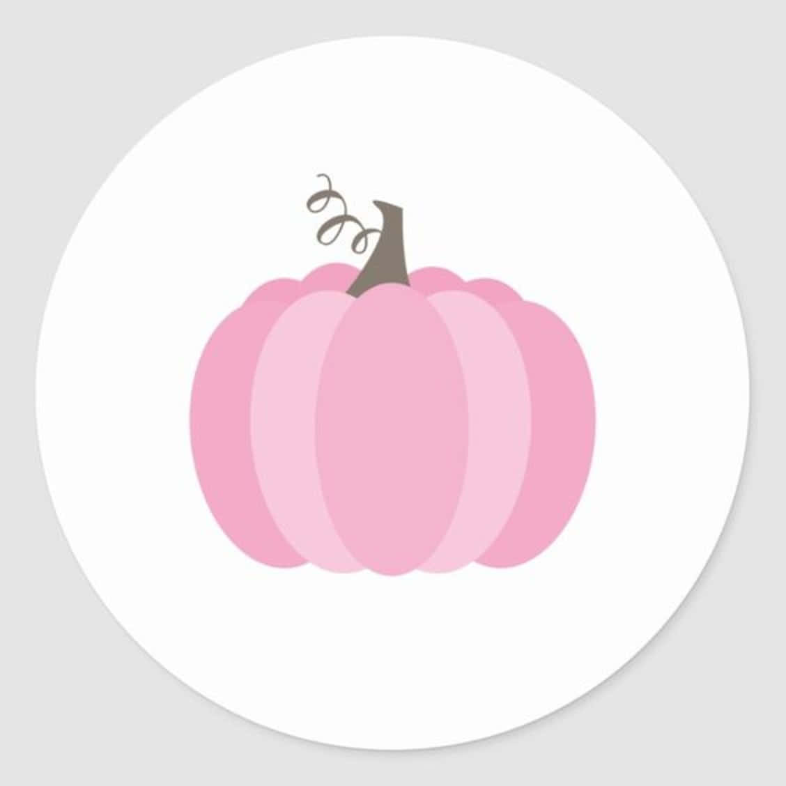 pink pumpkin, brown stem, white circular background, SD Desktop Wallpaper