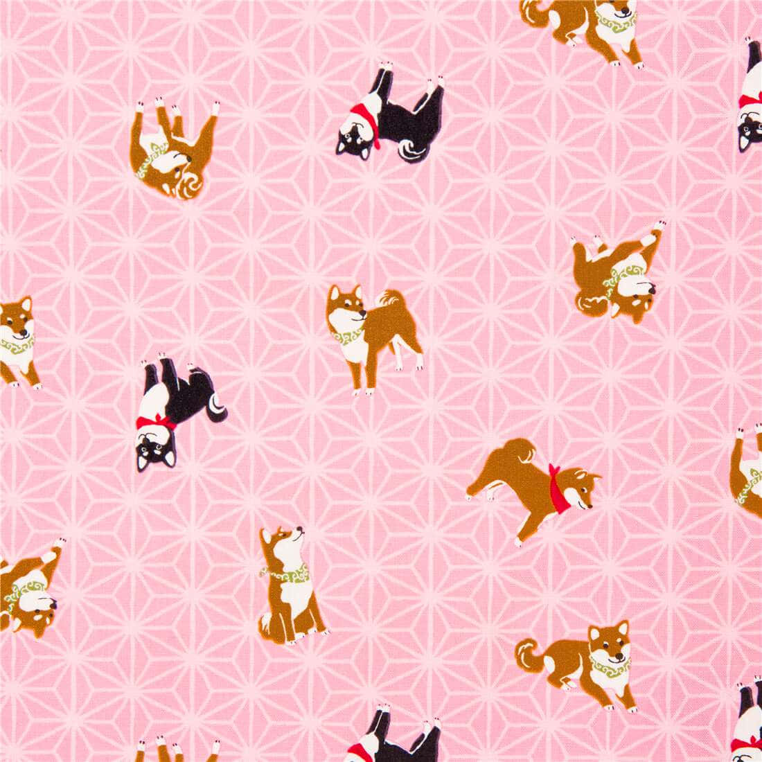 pink puppies, shiba inus, pink geometric patterned wallpaper, SD Desktop Wallpaper