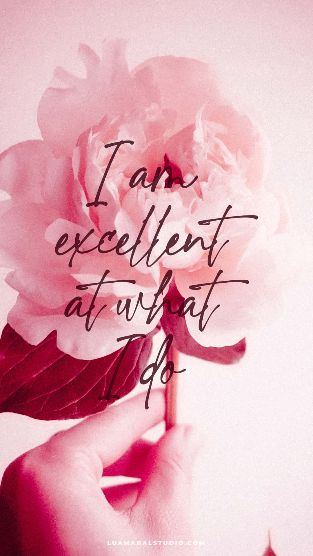 pink peony, elegant cursive text, floral backdrop, Full HD Phone Wallpaper