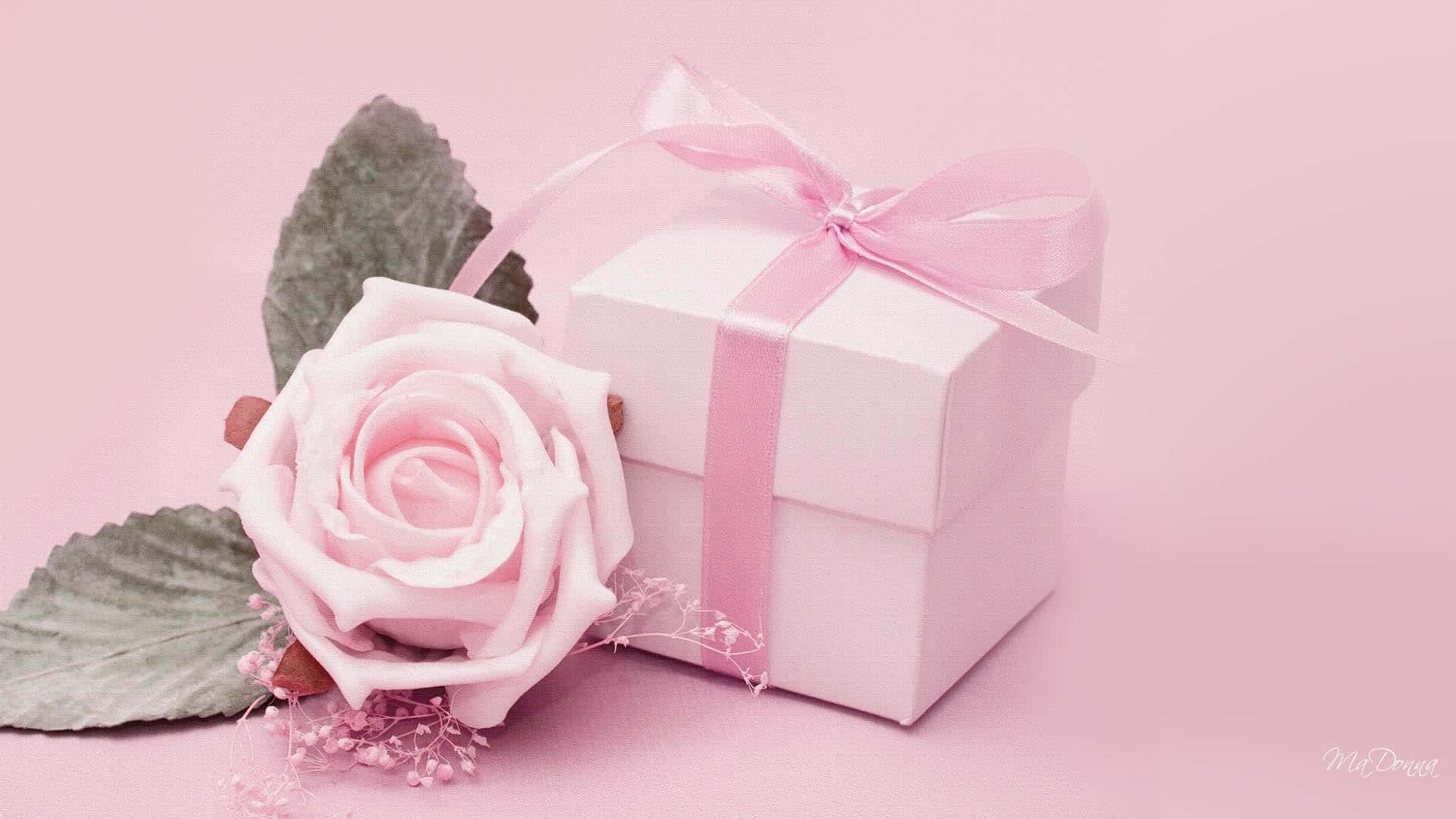 Pink Ribbon, soft pink rose, white gift box, Full HD Desktop Wallpaper