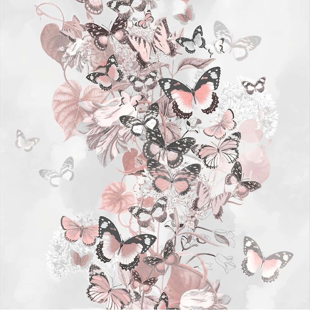 pink rose gold butterflies, pink and black butterflies, soft pastel flowers, SD Desktop Wallpaper