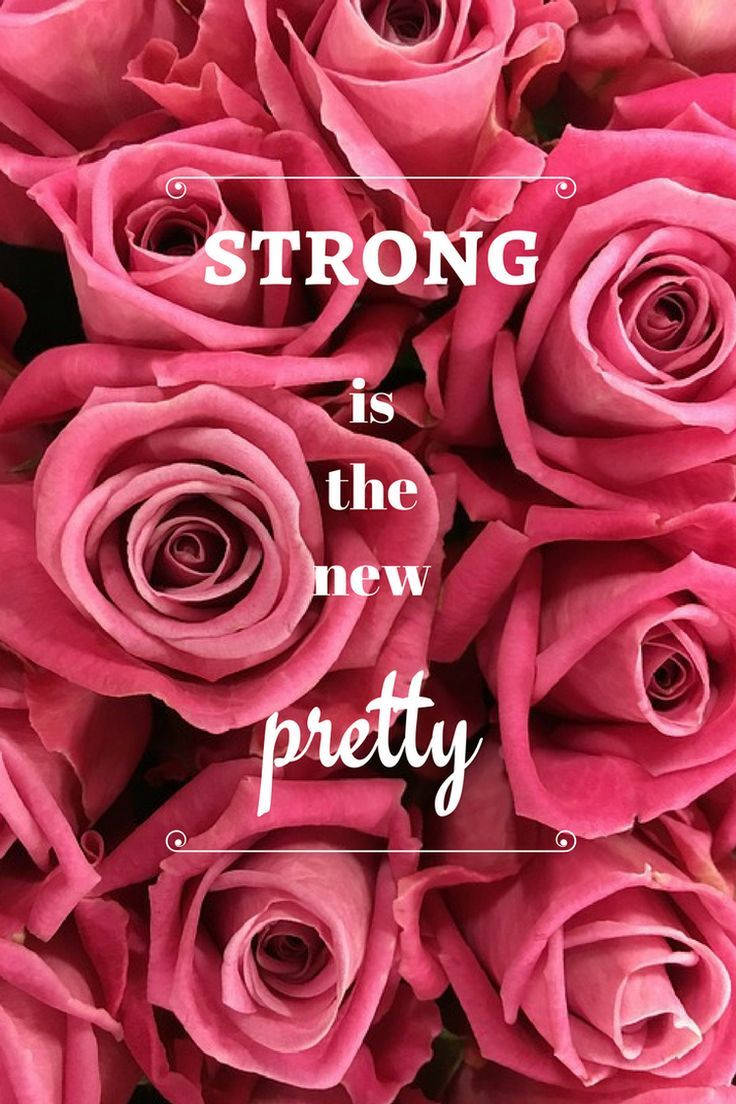 Pink Rose iPhone, STRONG is the new pretty, lush pink roses, SD Phone Wallpaper